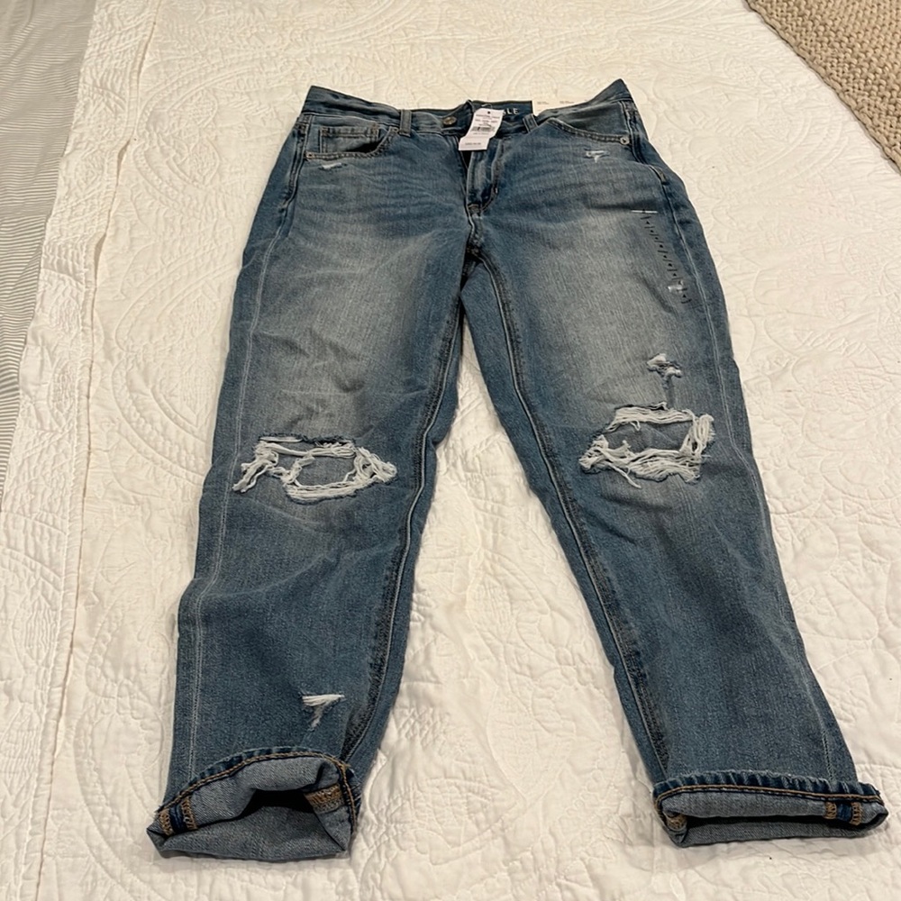 American Eagle Mom Jean